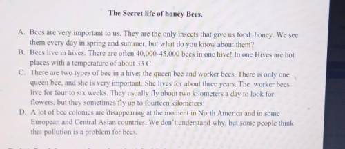 Task 1. Read the text and match topics 1-3 with the paragraph A-D. Ex: Types of bee C1. Bees in dang