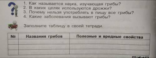 Заполните таблицу и ответьте на вопросы