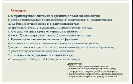 НУЖНА ответьте на вопросы ​