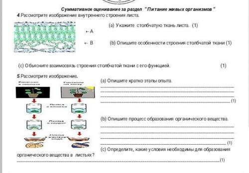 Сор по биологии за 2 четверть 4 задание