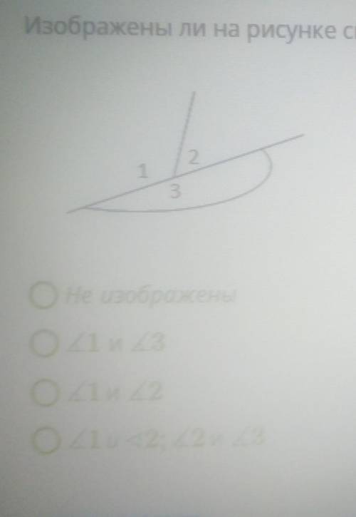 Изображены ли на рисунке смежные углы, если да, то отметь их