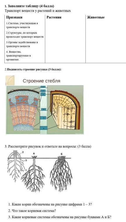 От ответьте на вопрос это СОР 