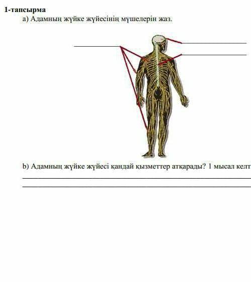 Кімде бар өтініш жаратылыстану пәнінен сабақ бар