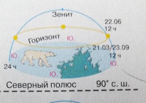 Опишите что происходит на северном тропике22. 65-6 предложений