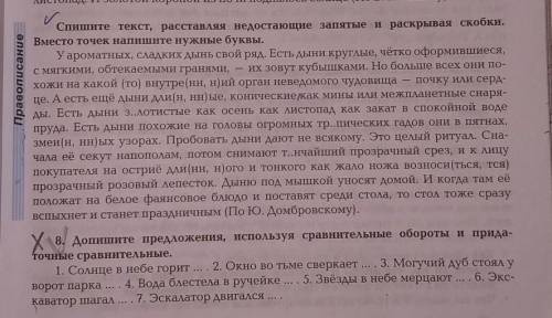 Правописание и Задание 8.Скажите очень важно.