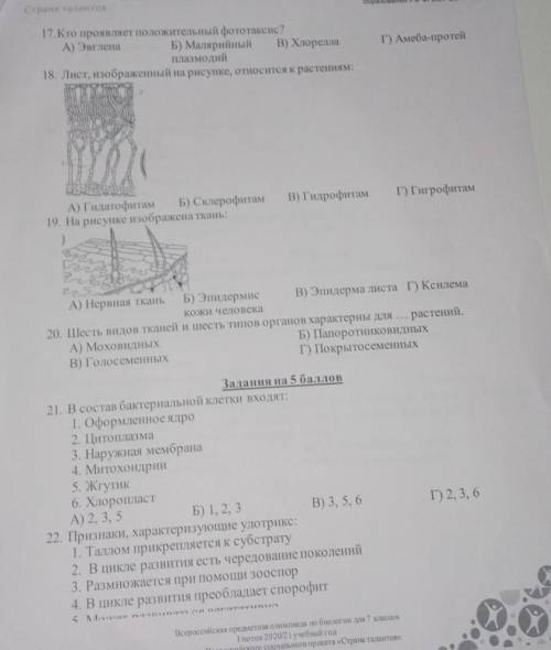 решите только правильно . ЗА ПУСТЫЕ И НЕ ПРАВИЛЬНЫЕ ОТВЕТЫ ЖАЛОБА И БАННН !