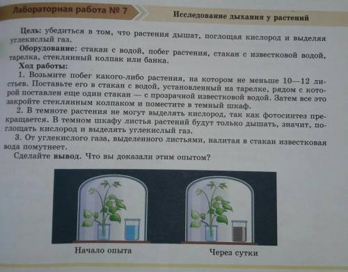Лабораторная работа номер 7 (7 класс. ) 