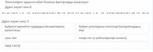Определите факторы, вызывающие пиелонефрит