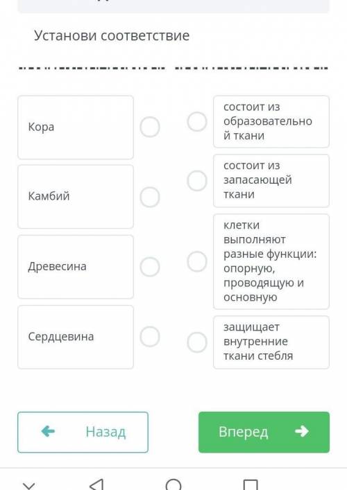 Установить соответствие по биологии 7 класс