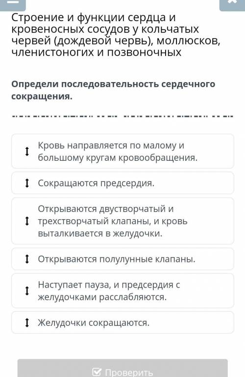 Определите последовательность сердечного сокращения.