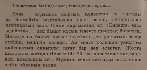 Әмзеге қандай кеңес бересіз? Хат жазу керек.