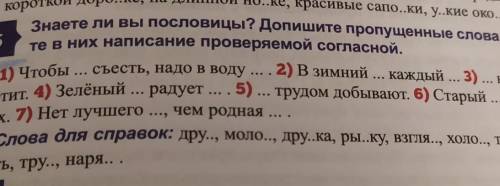 5 класс не понимаю что делать мне кажется что я тупая ​