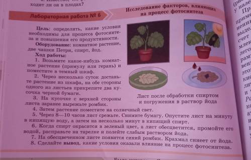 Сделайте вывод ,Какие условия оказали влияние на процесс фотосинтеза 15предложений