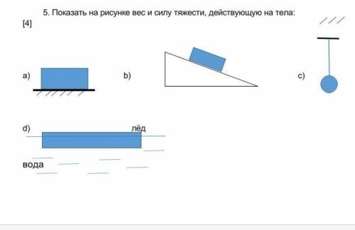 Показать на рисунке вес и силу тяжести, действующую на тела: 