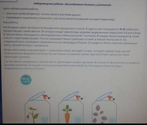 Лабороторная работа <<иследовать дыхание растений >>