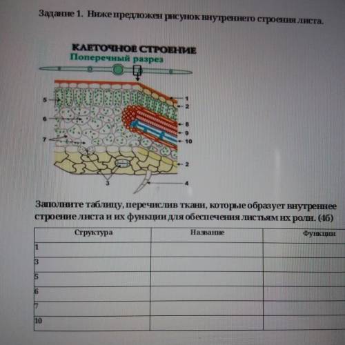 Определите и обьюсните особенности слова атносферы аммм:еее