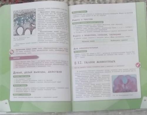 Составить план конспекта 11 параграфа