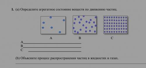 Опериделите агрегатное состояние веществ по движению частиц 