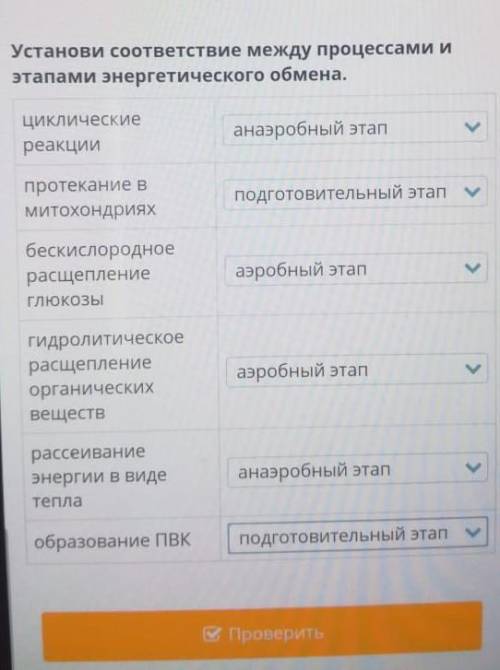 Биология если не правильно скажите как будет 