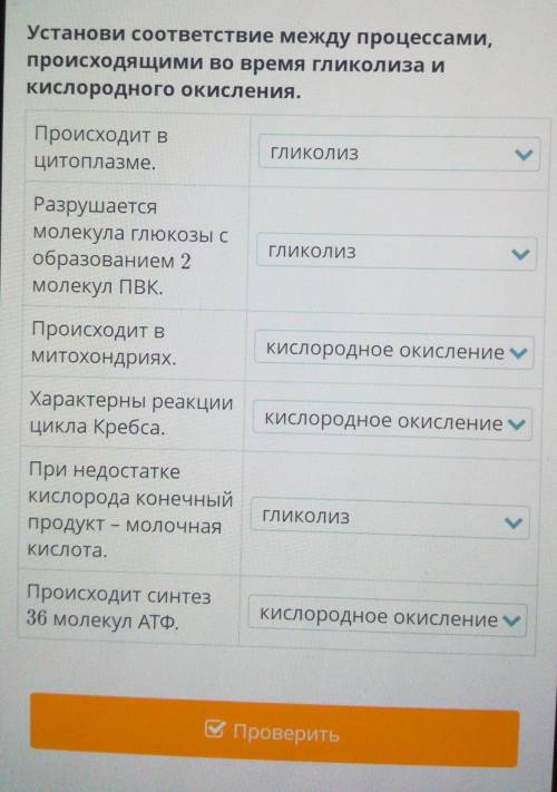 биология биология пкукедллднбилыыывсукаппп