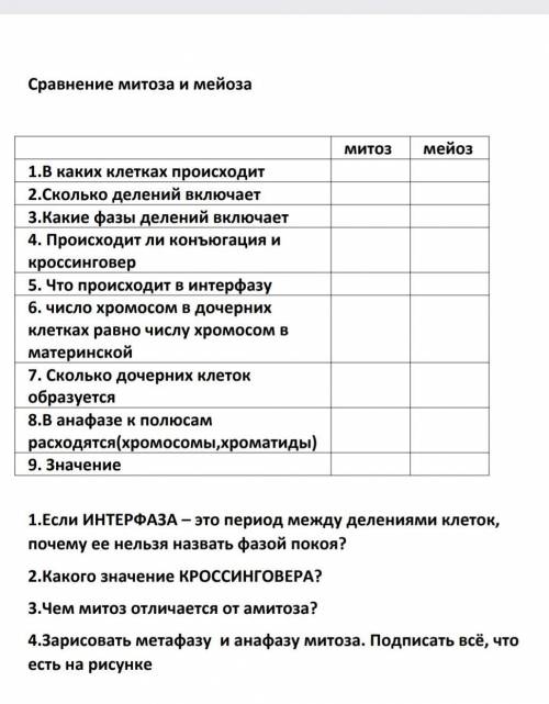 Биология. Сравнение митоза и мейоза