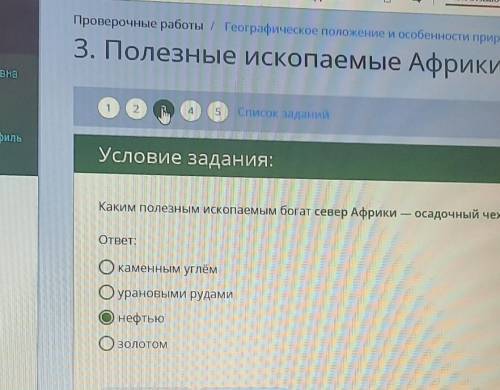 Каким полезным ископаемым богат север африки- осадочный чехол Сахарной плиты