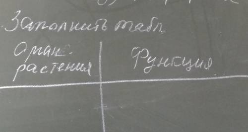 5 класс Биология———————————Заполнить таблицу:|Орган растение||Функция|