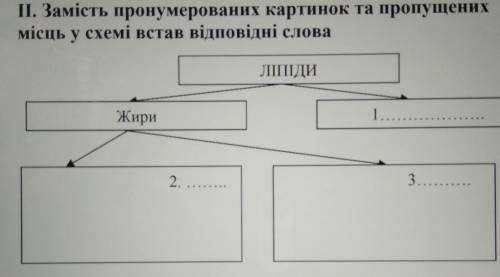 II. Замість пронумерованих картинок та пропущенихмісць у схемі встав відповідні словаhelp