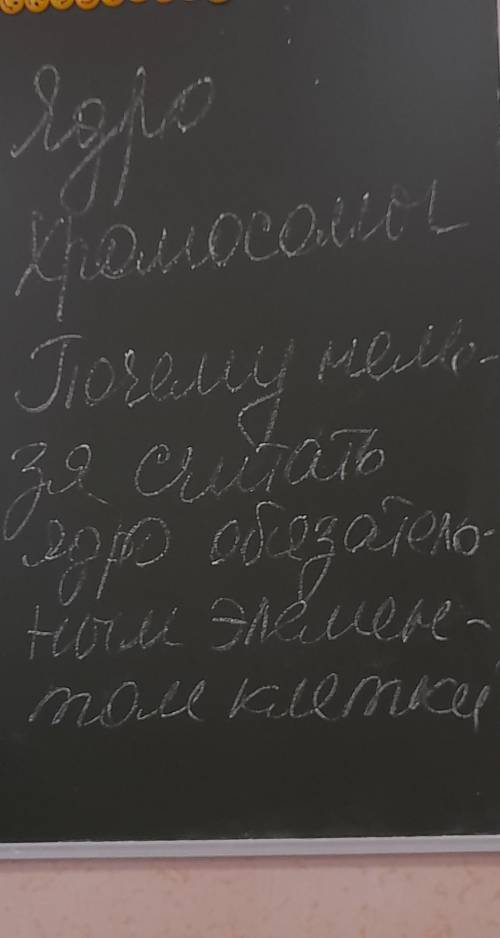 ответ на вопросы 5 класс биология