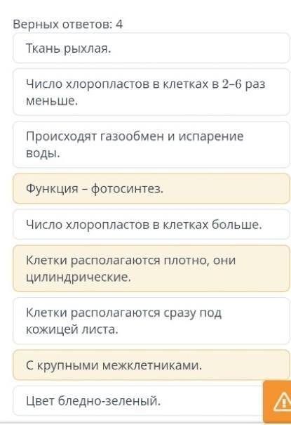 Определи особенности столбчатой ткани листа.Немогу наити только последний. 