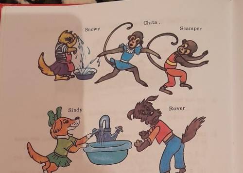 6. Look at the pictures and say if they like to do it.Example: Snowy likes to 
