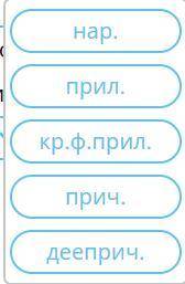 Определи, к какой части речи относятся приведённые слова, выбрав вариант ответа. а) юна (девушка) —
