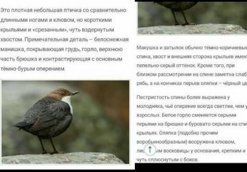 Определите в прилагательных род, число, падеж