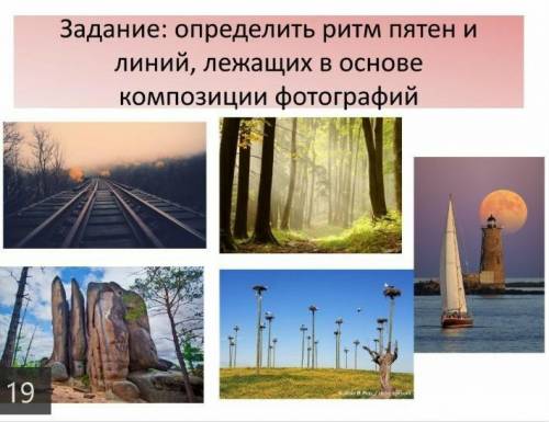 Определите ритм пятен и линий на фотографиях 