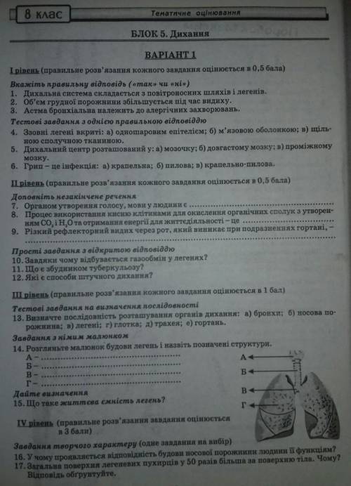 До ть будь ласка. Семестрова к/р. Біологія. ів, тільки дуже виконайте все. буду дуже вдячна