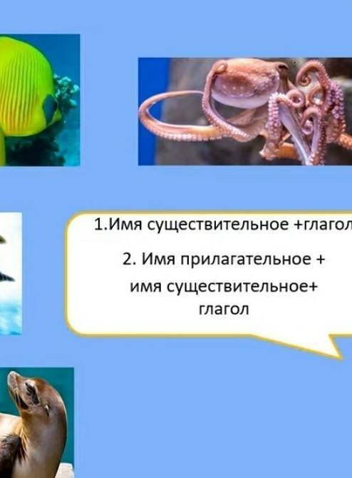 Морские обитатели 2-класм