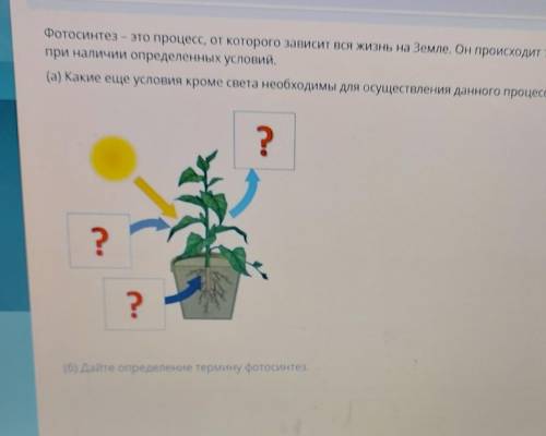 Какие условия кроме света необходимы для осуществления данного процесса
