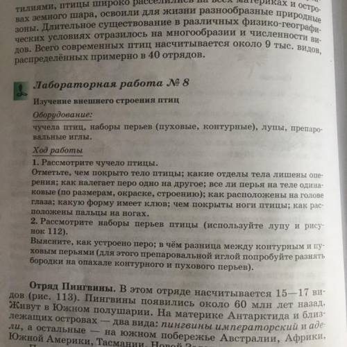 Лабораторня работа №8 По рисунку птицы «Куропатка каменная (кеклик)стр.149»