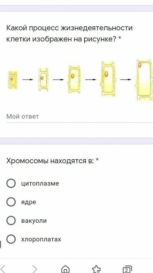 1) Какой процесс жизнедеятельности клетки изображен на рисунке?2) Хромосомы находятся в...