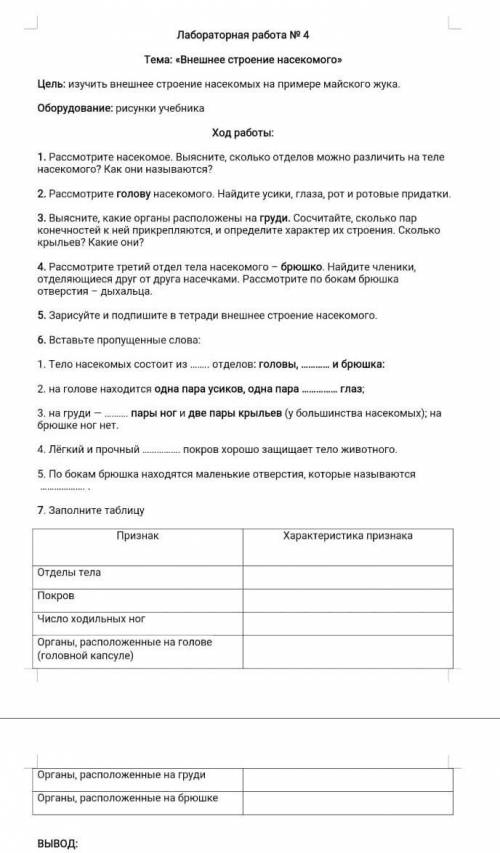 Лабораторная работа номер 4 Тема Майский Жук 