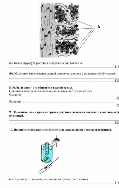 3часть Соча по биологии что попало БАН