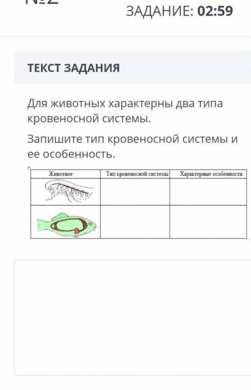 Запишите тип кровеносной системы и их характерные особенности соч 