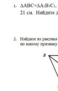 Алгебра Дураки фармющие лесом