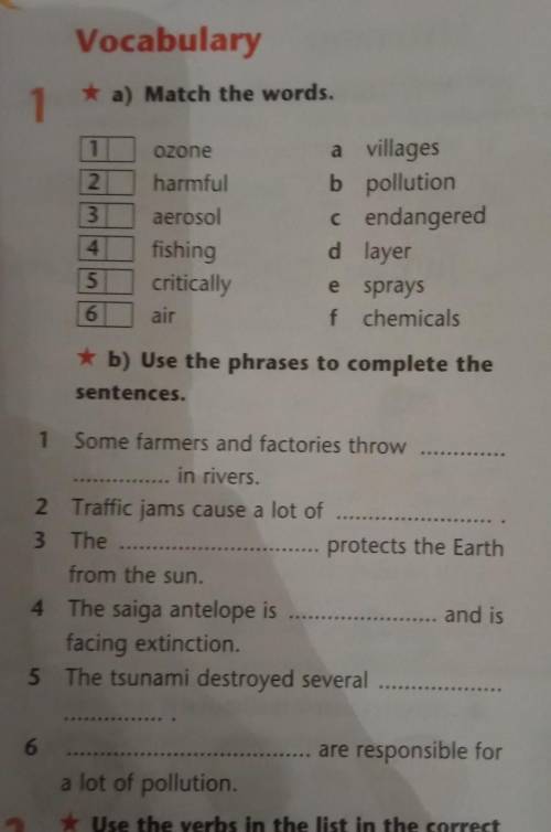 Match the words and use the phrases to complete the sentence