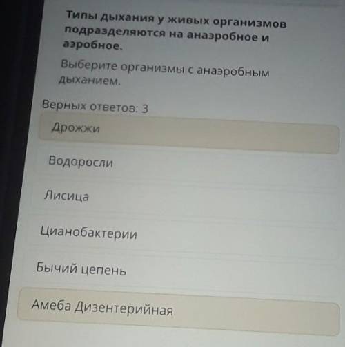 Какие животные с анаэробным дыханием