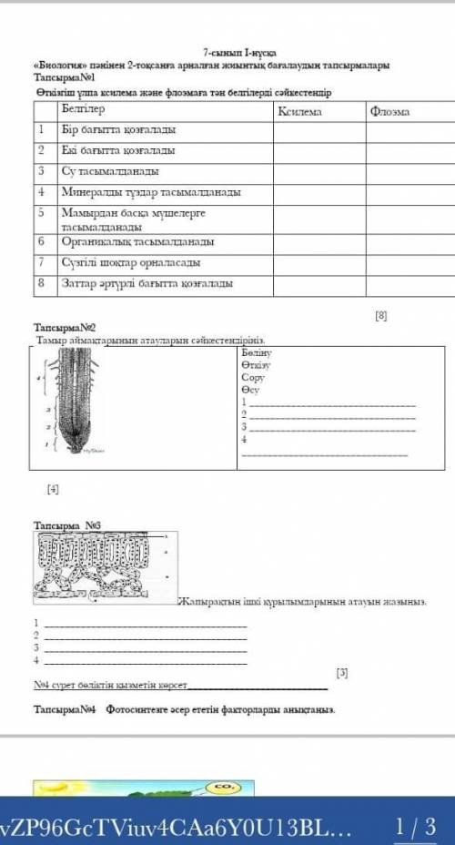 Биология ТЖБ 2 токсан көмектесидерш