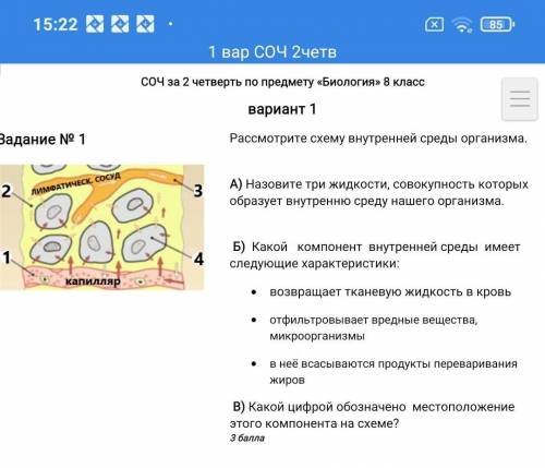 Рассмотрите схему внутренней среды организма. 
