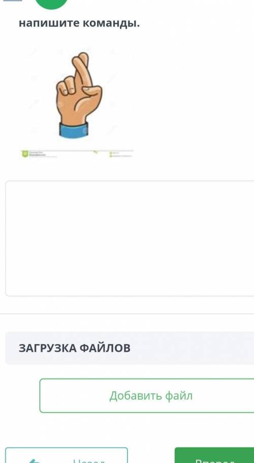 ответ какой жесткак называется на англ
