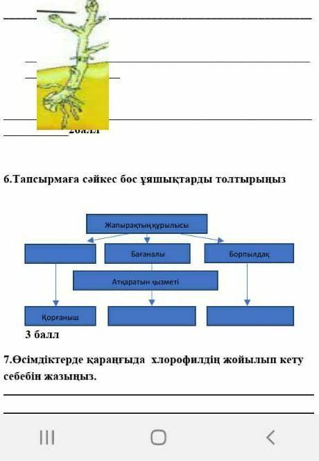 6 тапсырма қатты керек болып тұр өтініш 