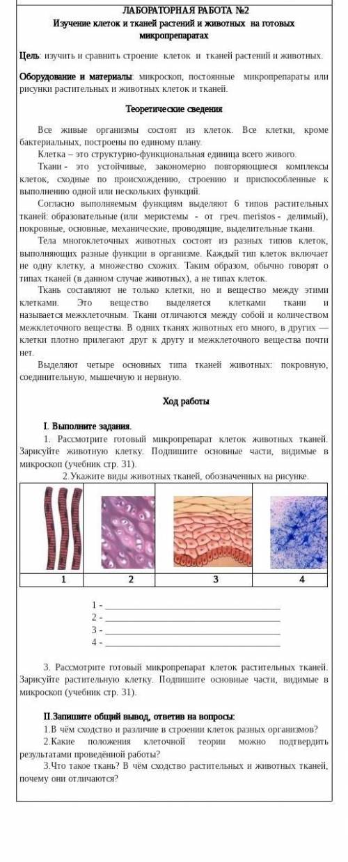 с биологии по лабораторной работе со 2 заданием